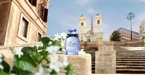 blue jasmine dolce e gabbana fragrantica